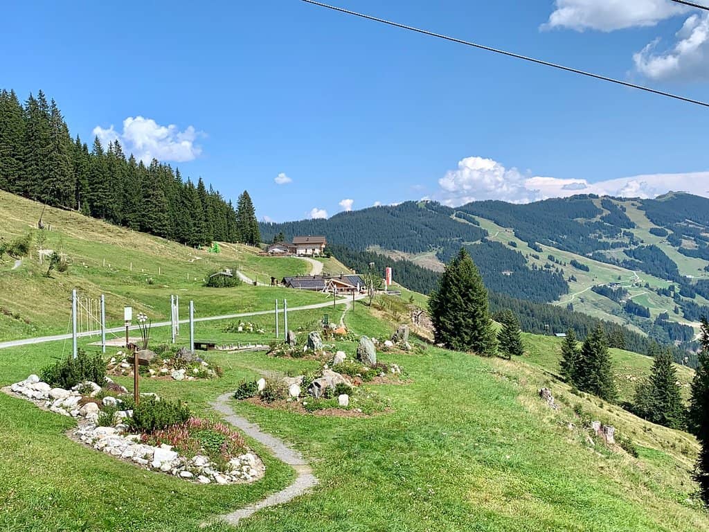 Mountain Biking Trails