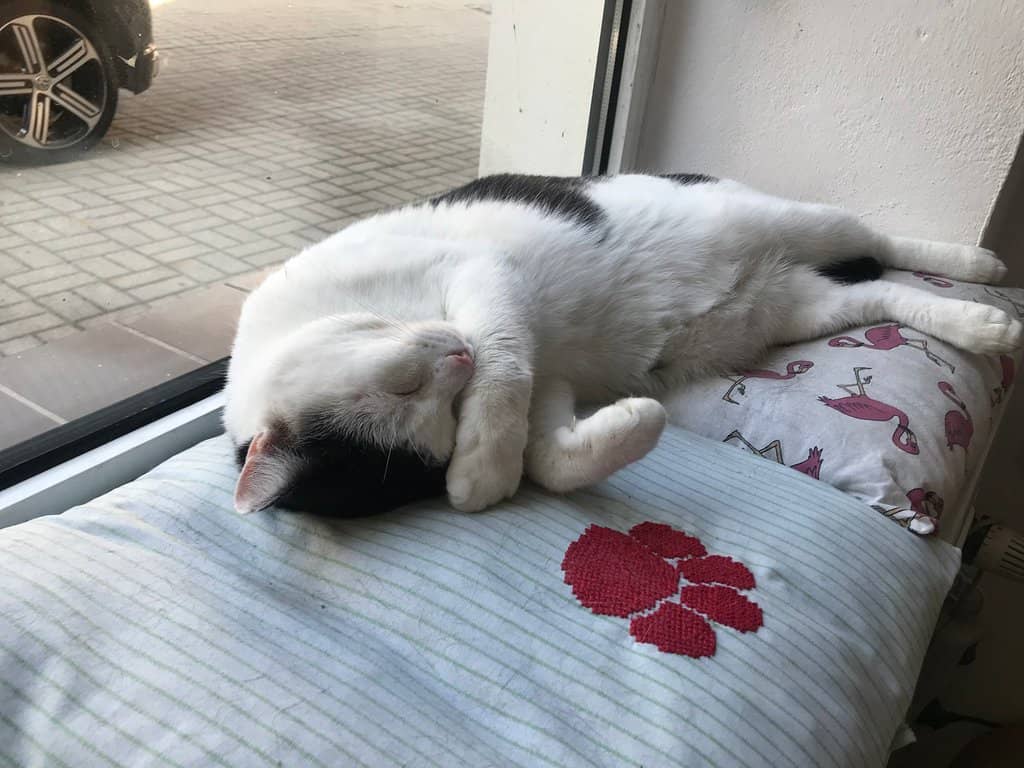 Affordable Fashion Finds