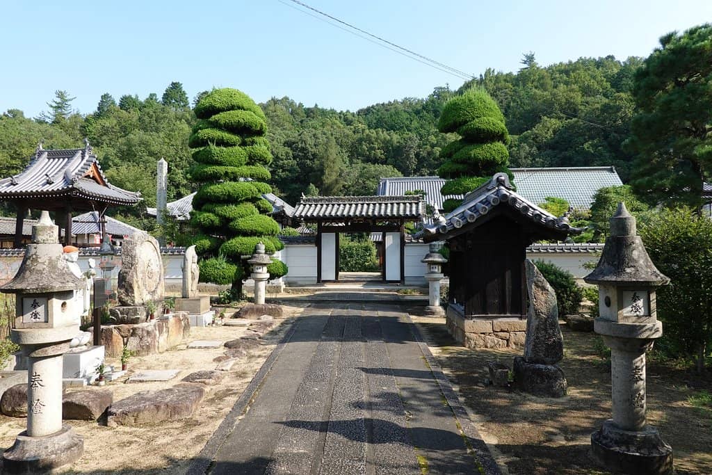 Well-Maintained Garden