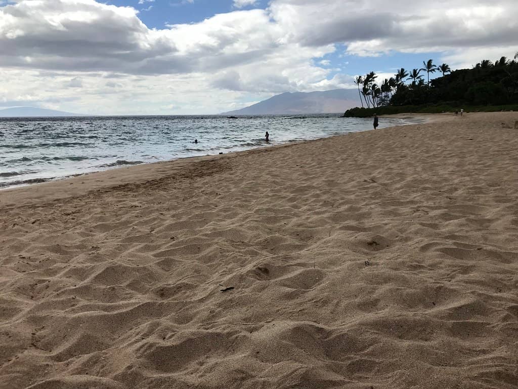 Snorkeling Paradise