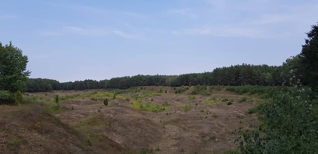 The Memorial of 17,000 Stones