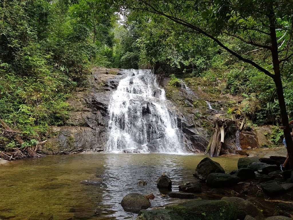 Vertical photo