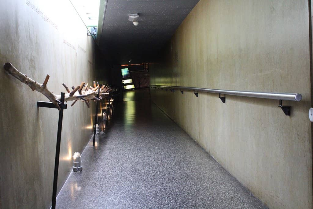 Underground World Display