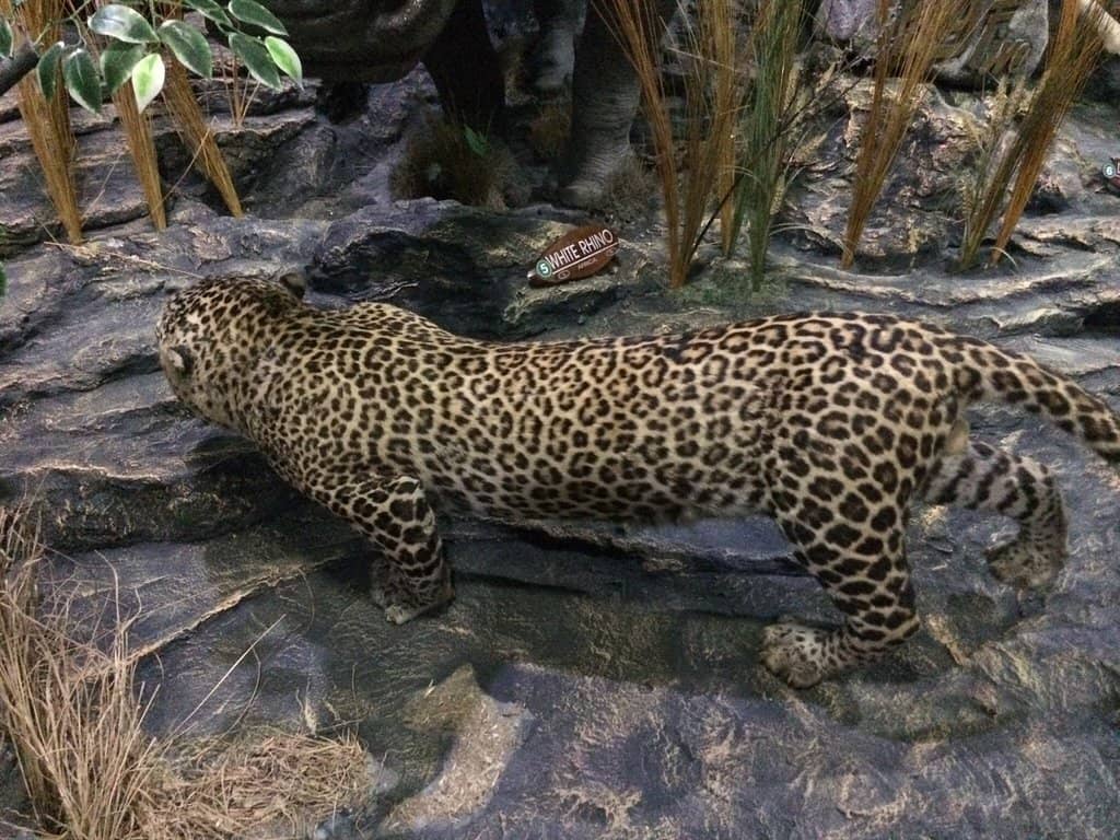 Educational Insights