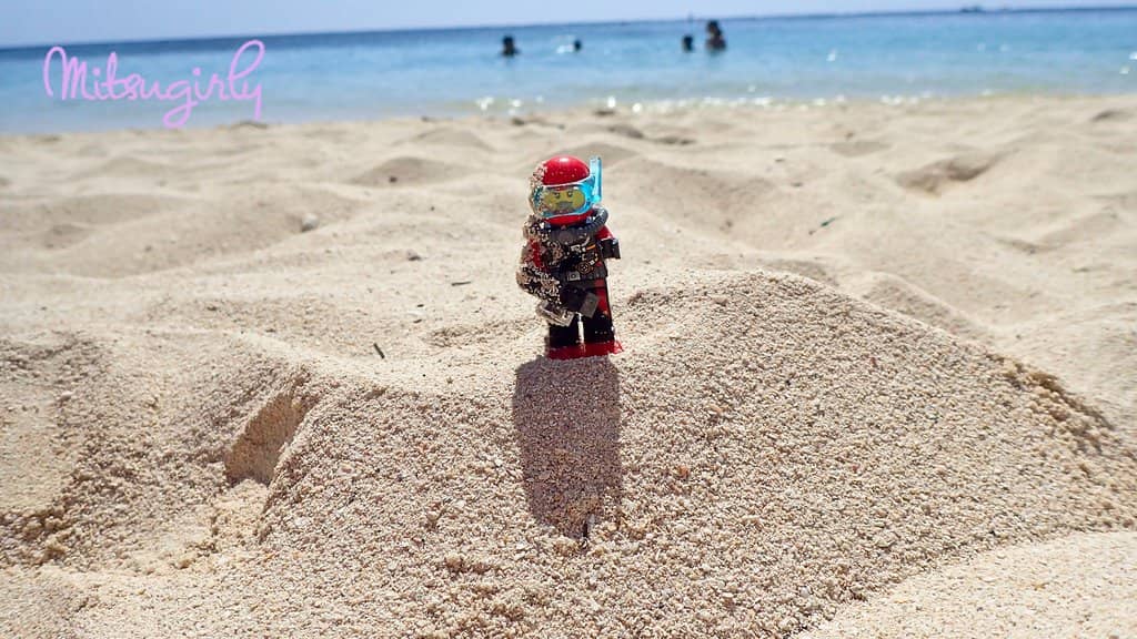 Scenic Coastal Views