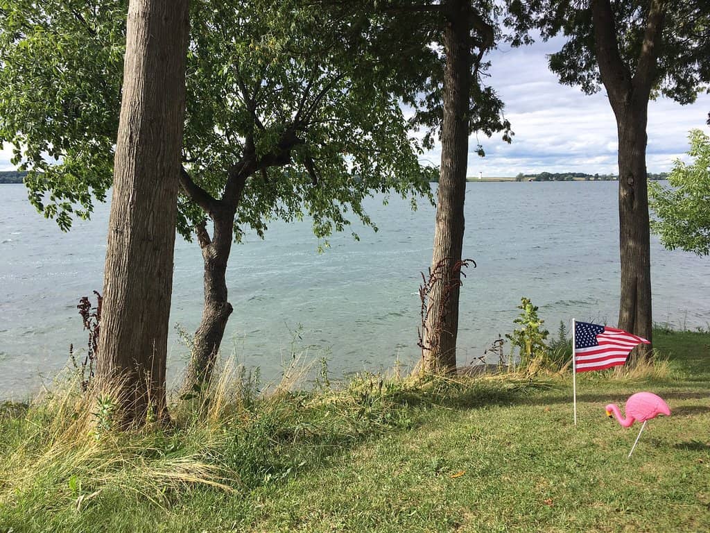 Fall Foliage Spectacle