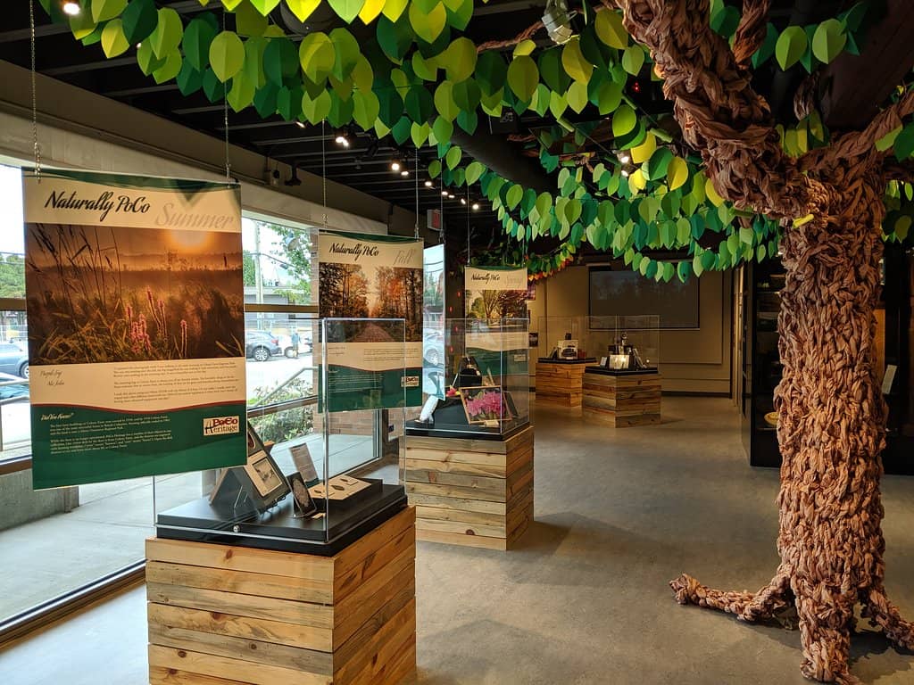 Informative Walking Tours