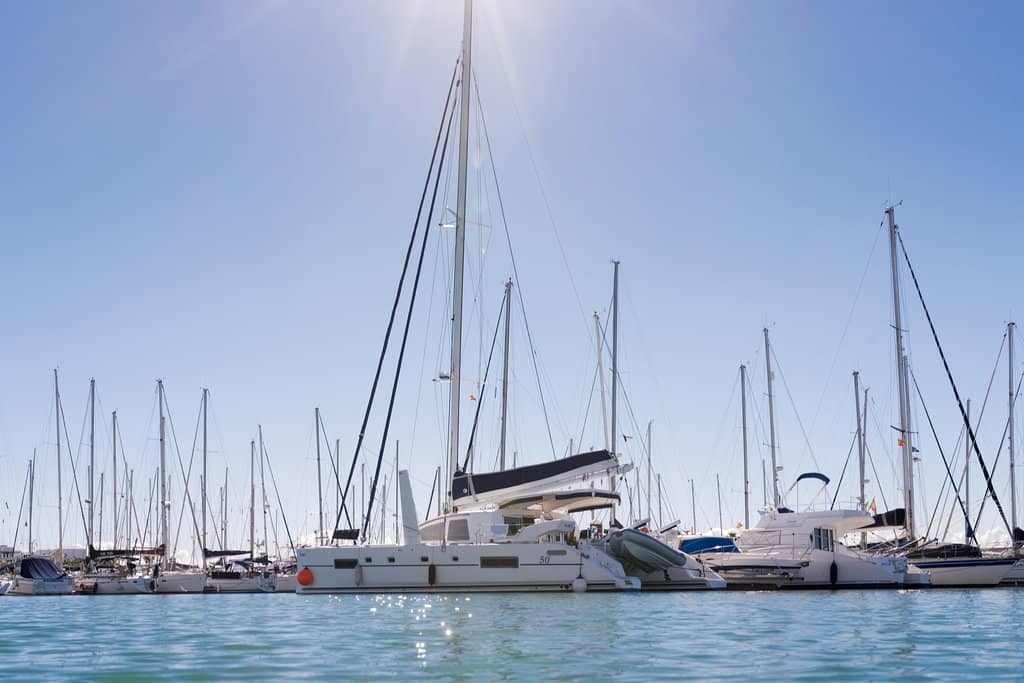 The Bustling Marina