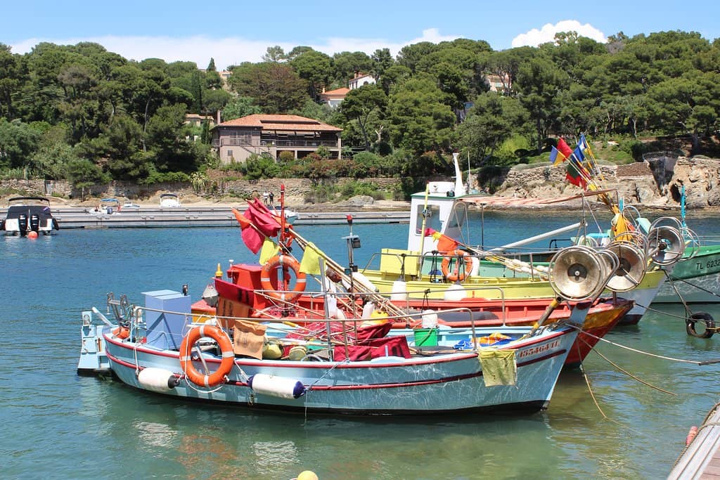 Turquoise Coves