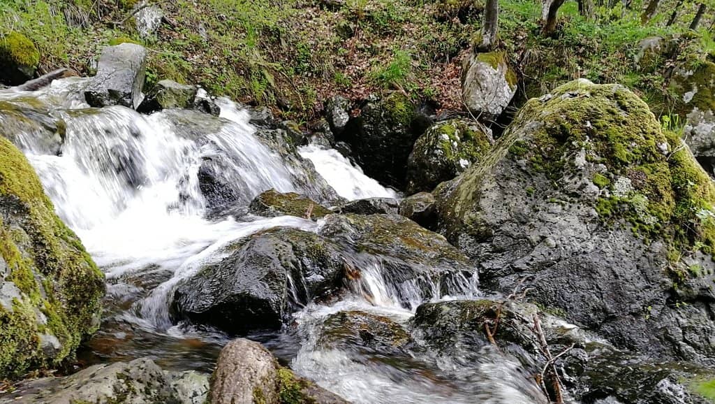 Boyana Waterfall