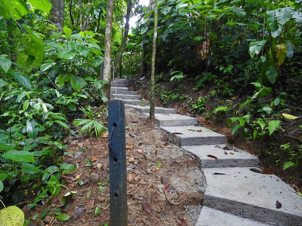 Vertical photo