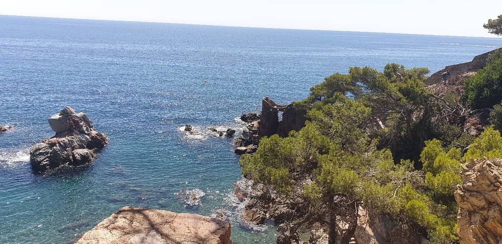 Crystal Clear Waters