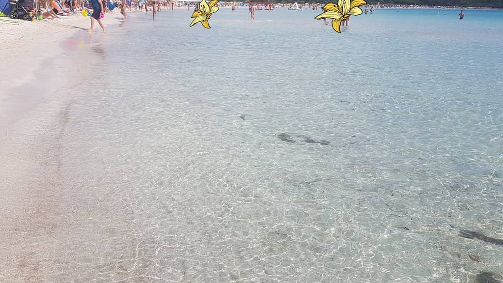 Views of Tavolara Island