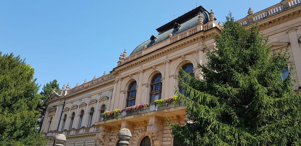 Art and Manuscript Collection