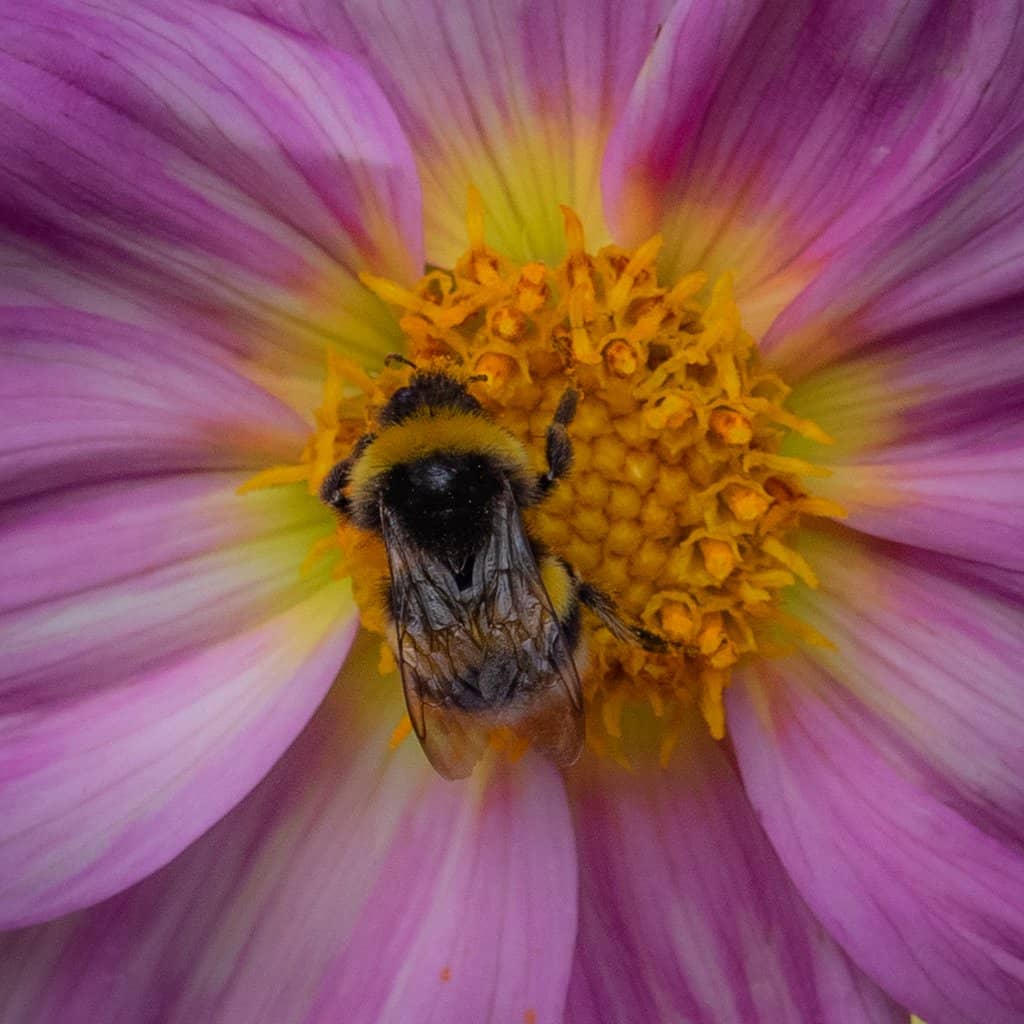 Nursery and Plant Shop