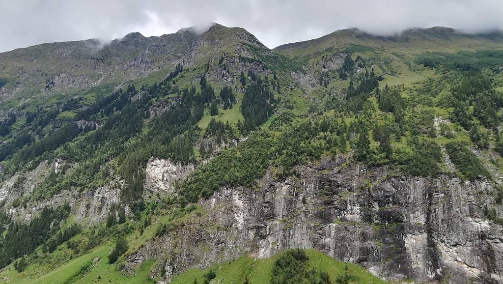 Professional and Friendly Staff