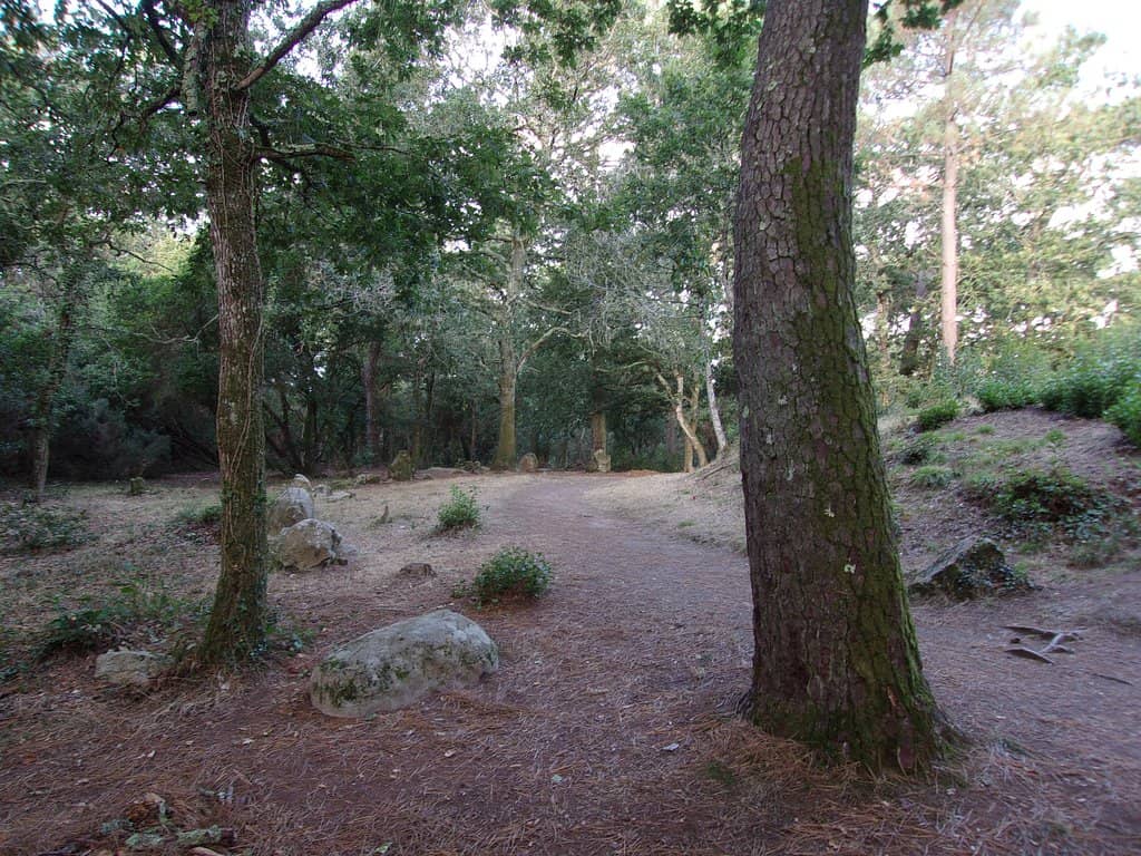 Subterranean Passage