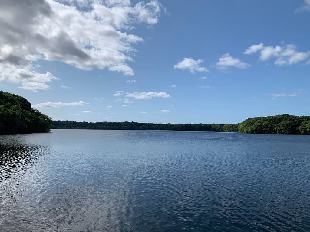 Serene Pond Views