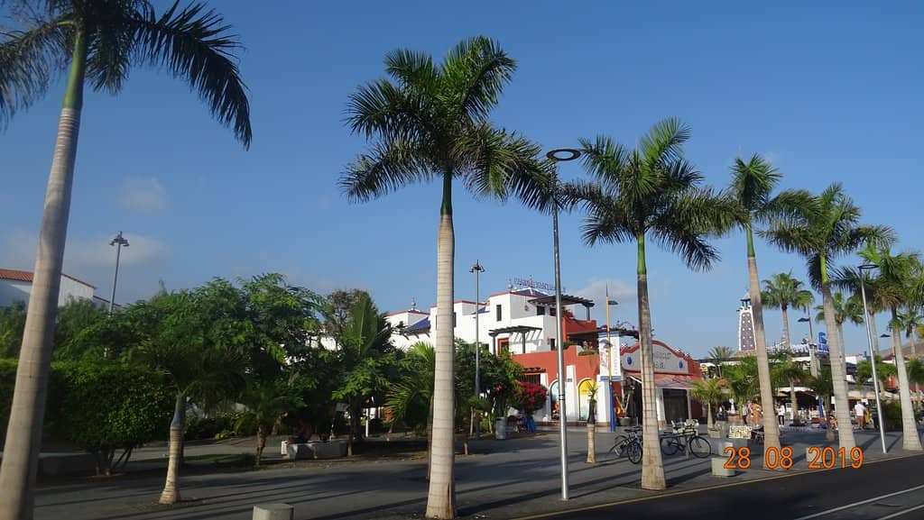 Shopping & Hidden Gems