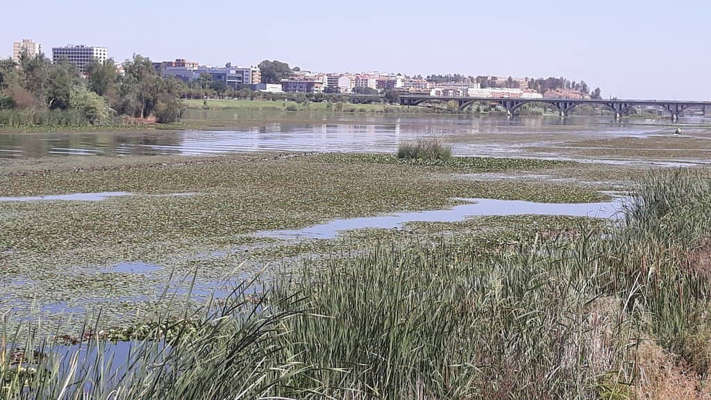 Green Spaces and Parks