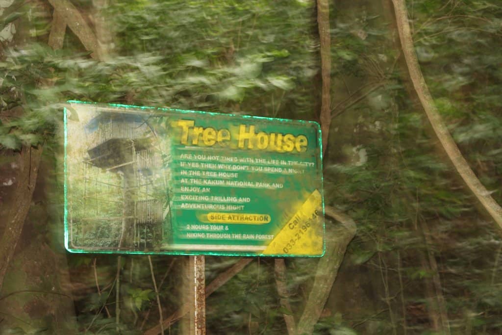 Birding Trail