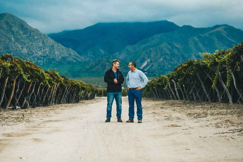 Vineyard Horseback Riding