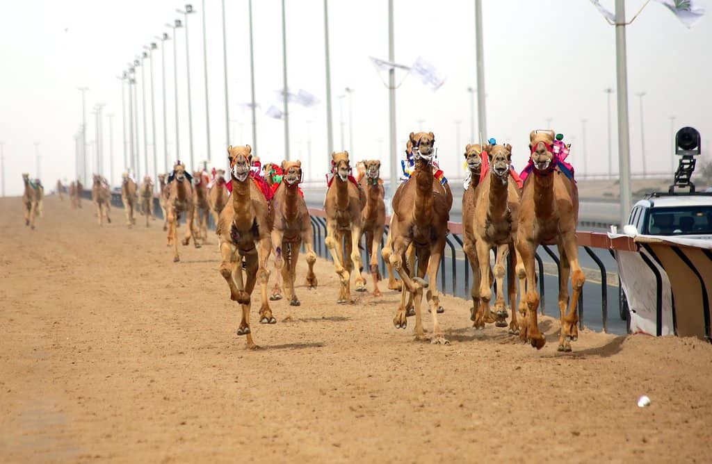 UAE-Themed Marketplace
