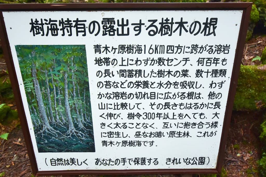 Third hero image