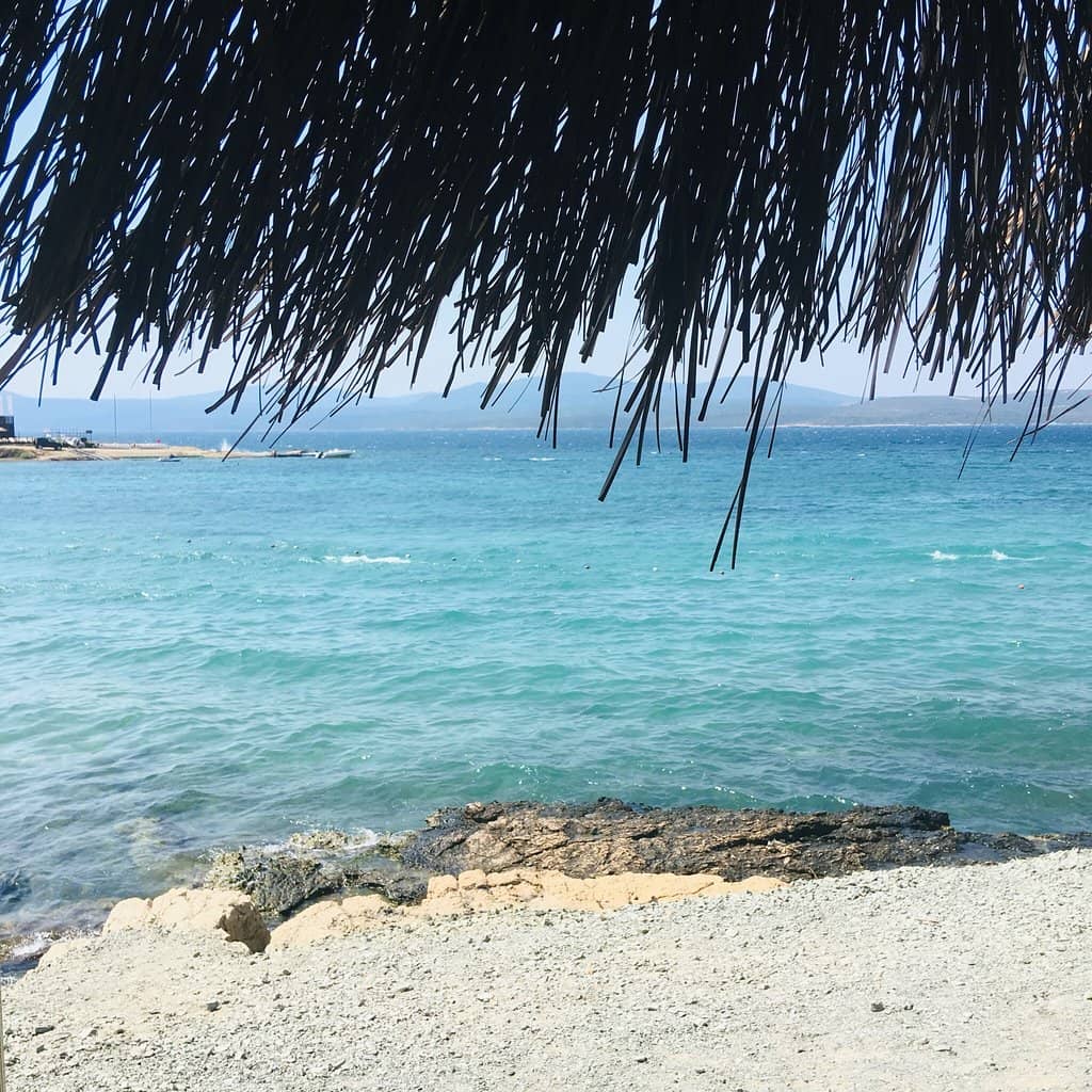 Vertical photo