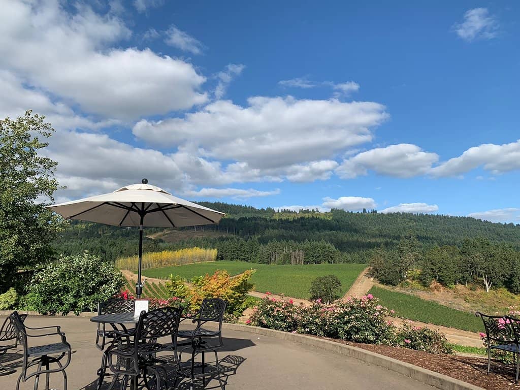 Gourmet Snack Boards