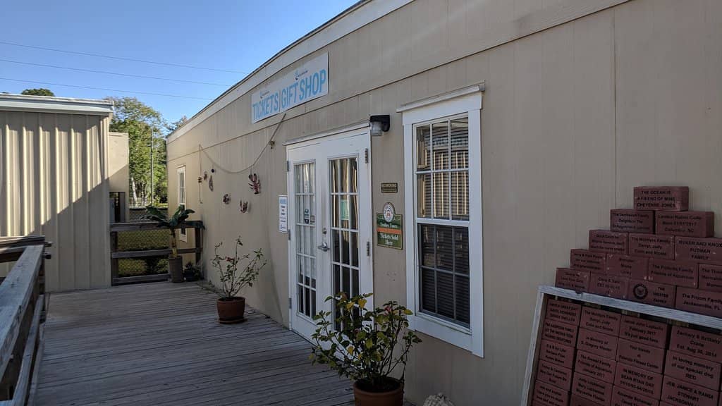 Interactive Stingray Cove