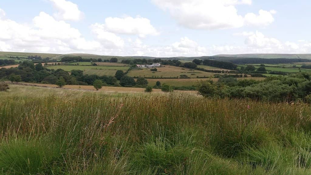 Third hero image
