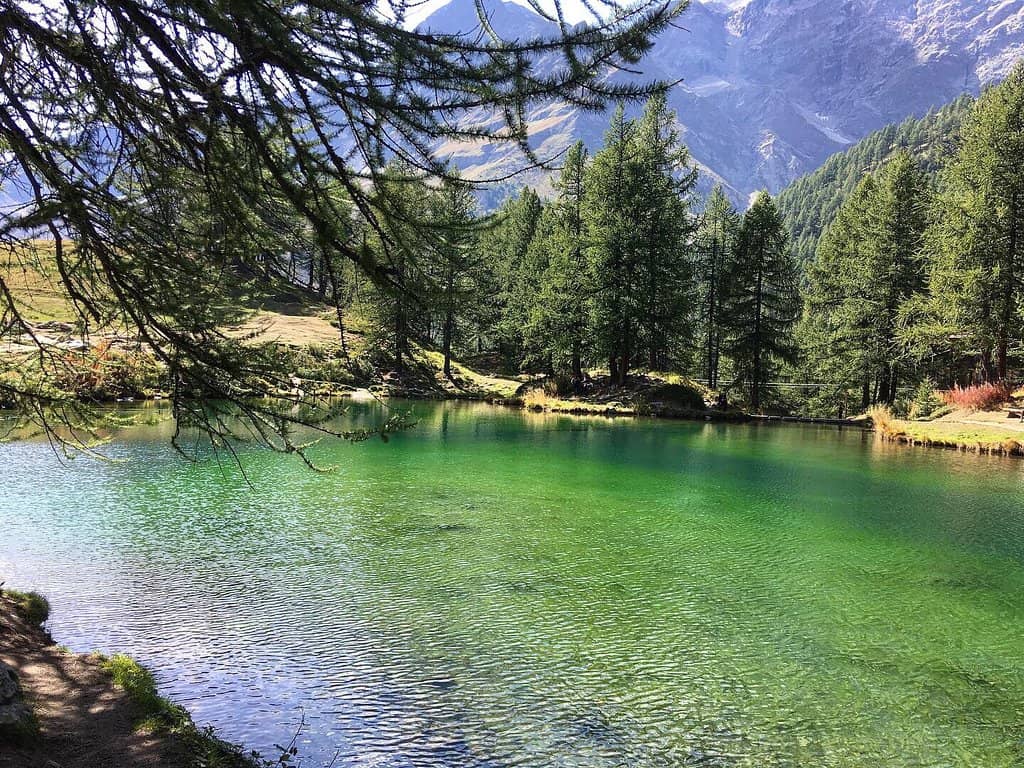 Scenic Hiking Trails