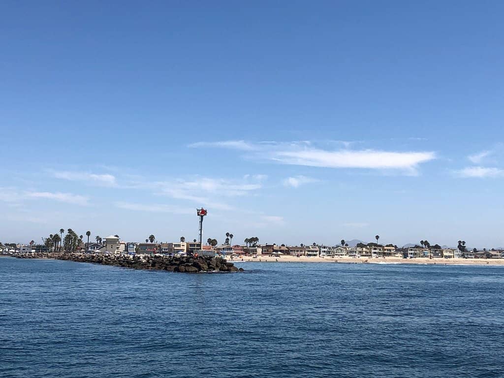 Live Harbor Cam