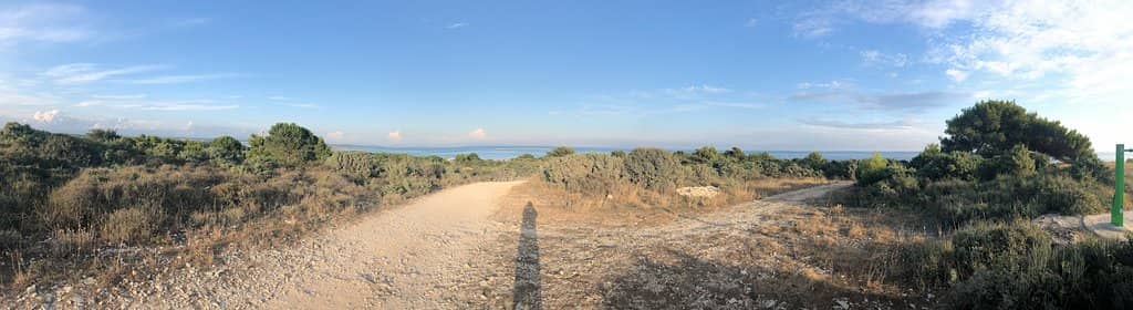 Cliff Jumping Adventures