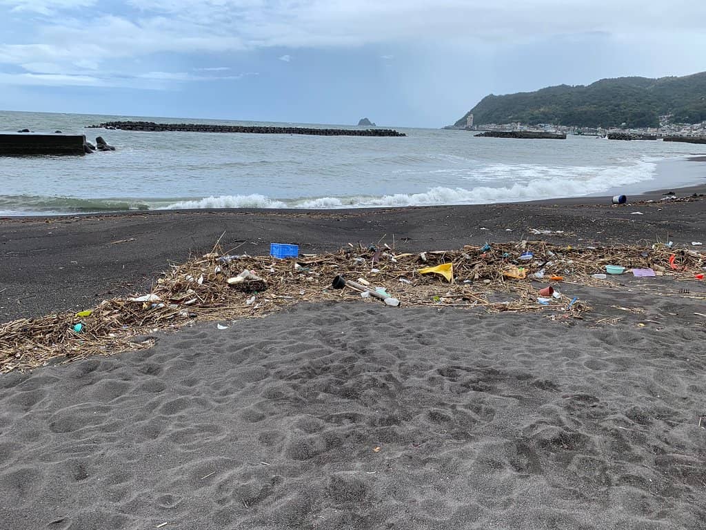 Family Fun Activities