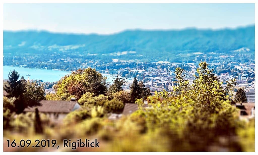 Rigiblick Viewpoint