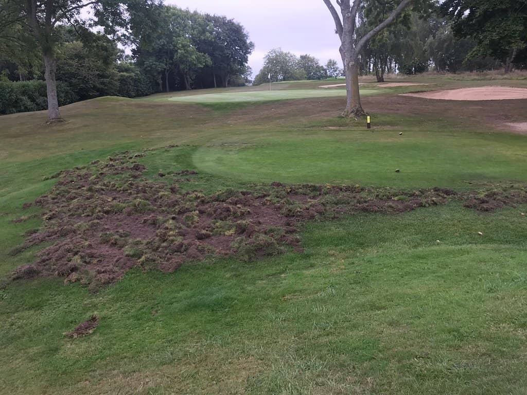 Hotel Barrière L'Hôtel du Golf