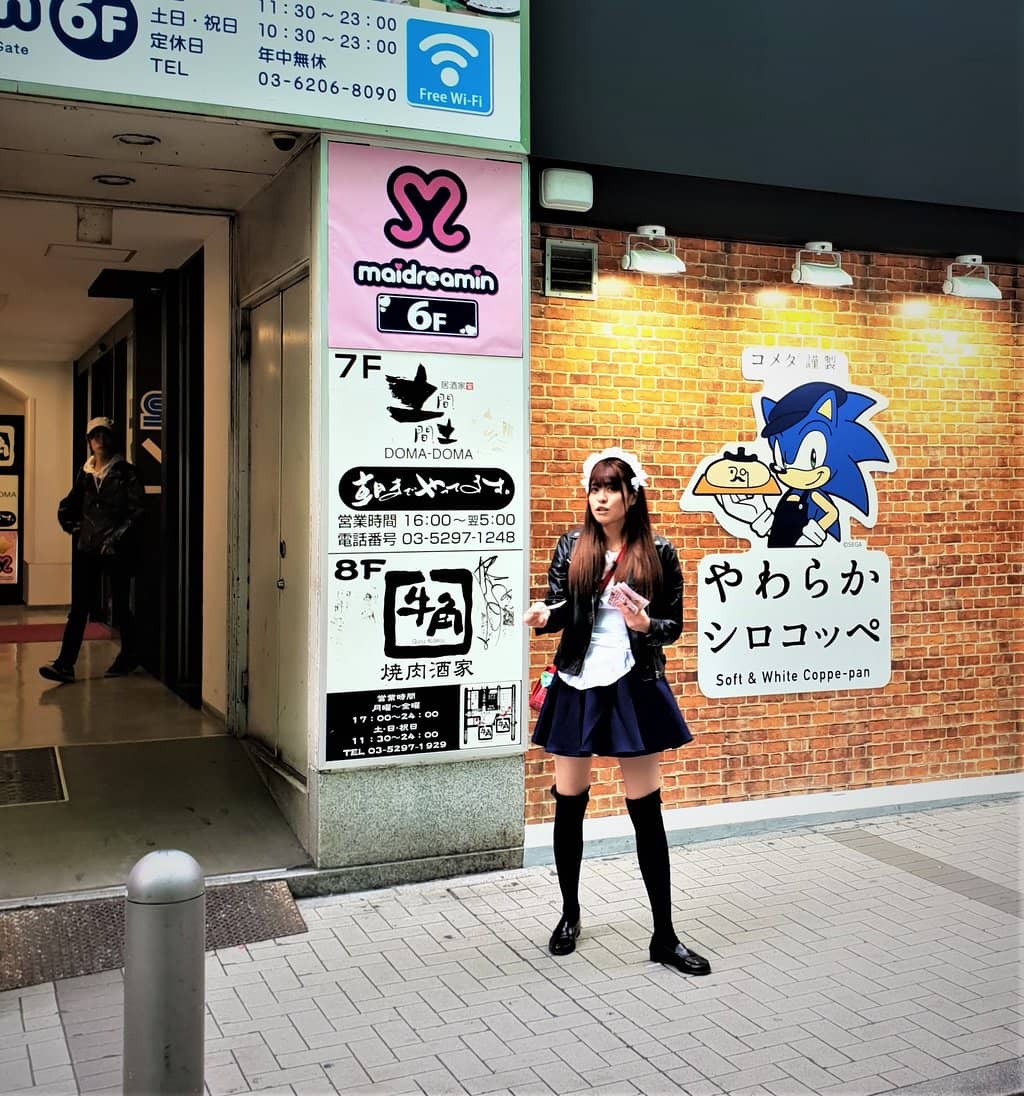 Maid Cafes