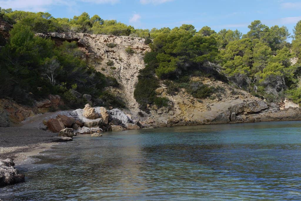 Crystal-Clear Snorkeling Waters