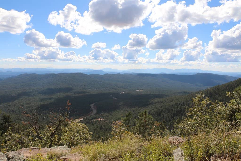 Scenic Rim Trail Walk
