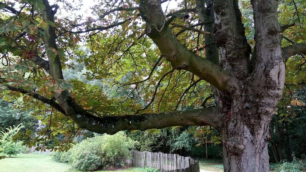 Expansive Lawns & Ponds