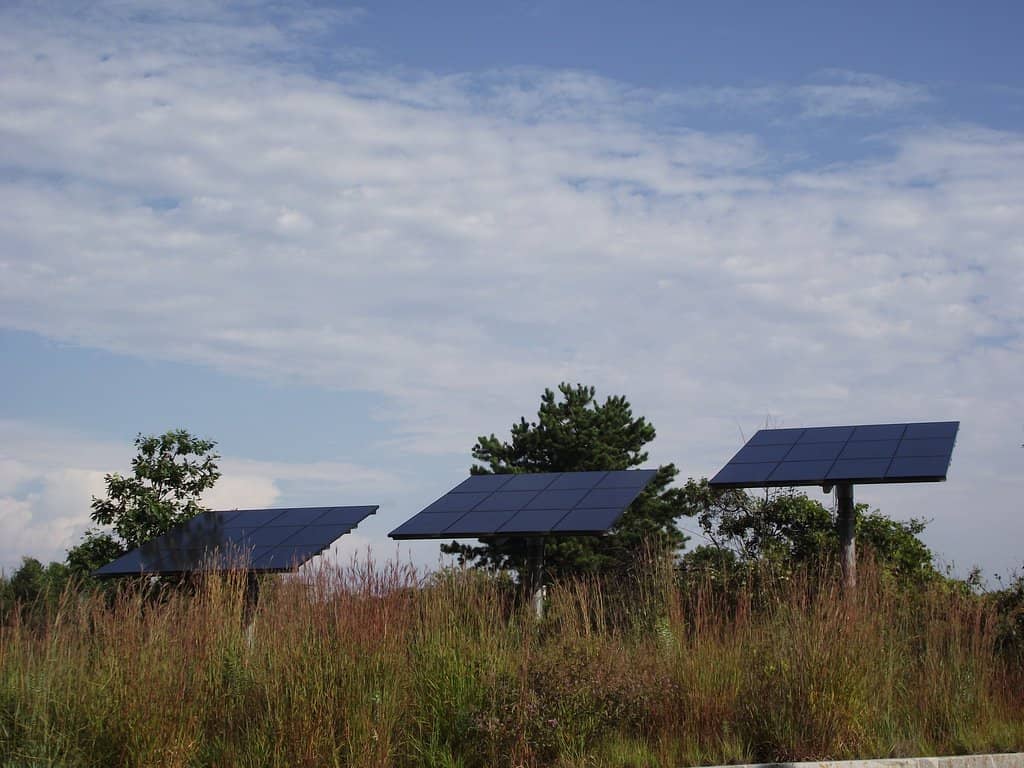 Extensive Trail Network