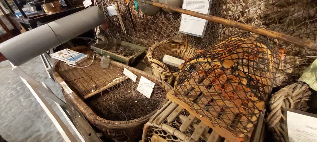 17th Century Crimes & Punishments