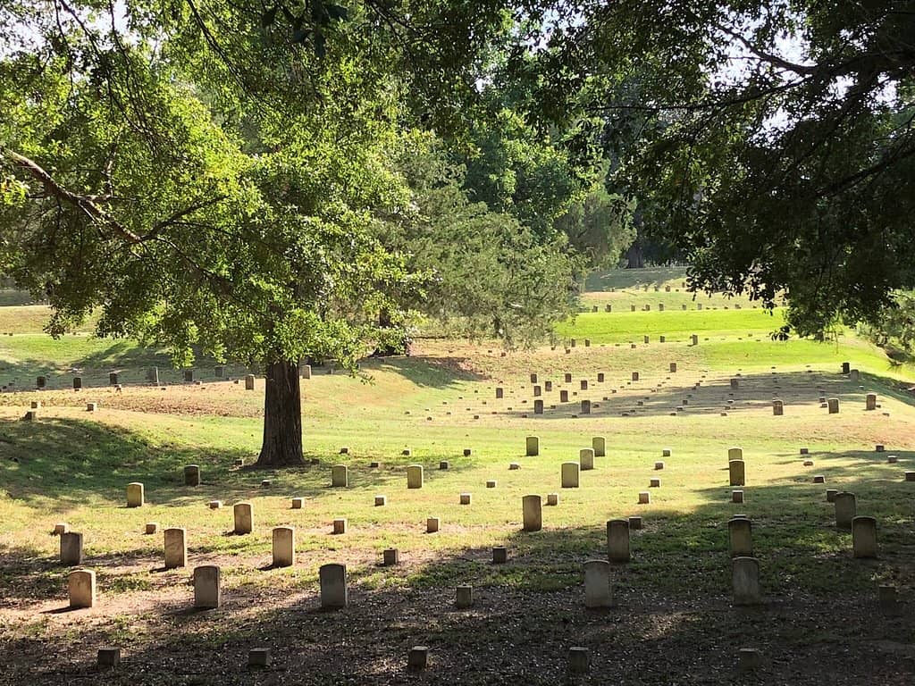 Confederate Section