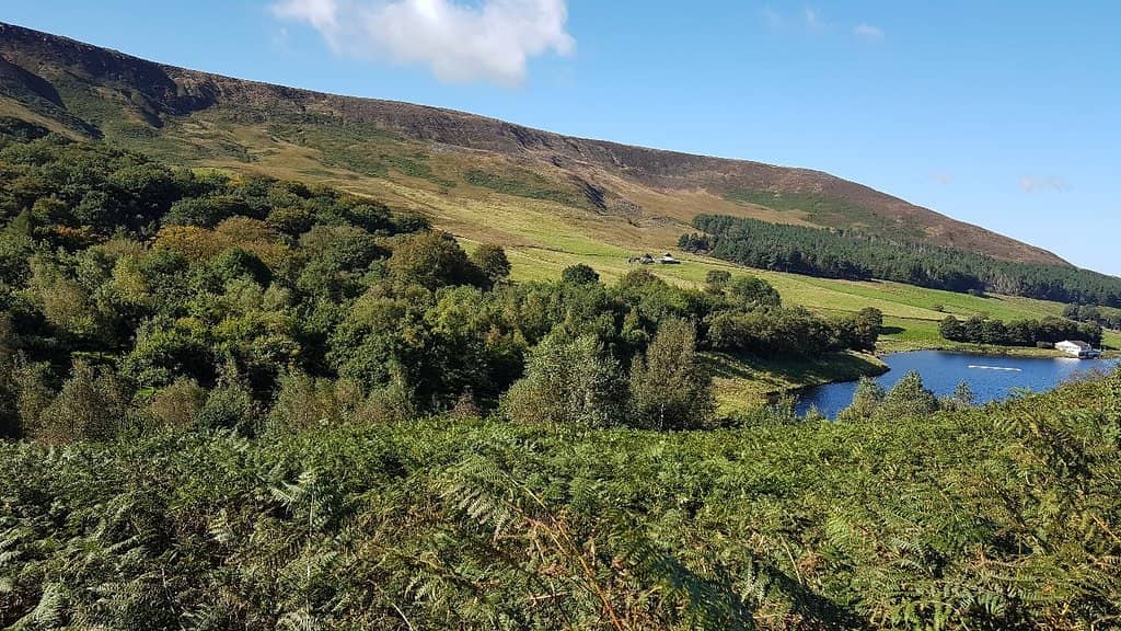 The Trinnacle Trail
