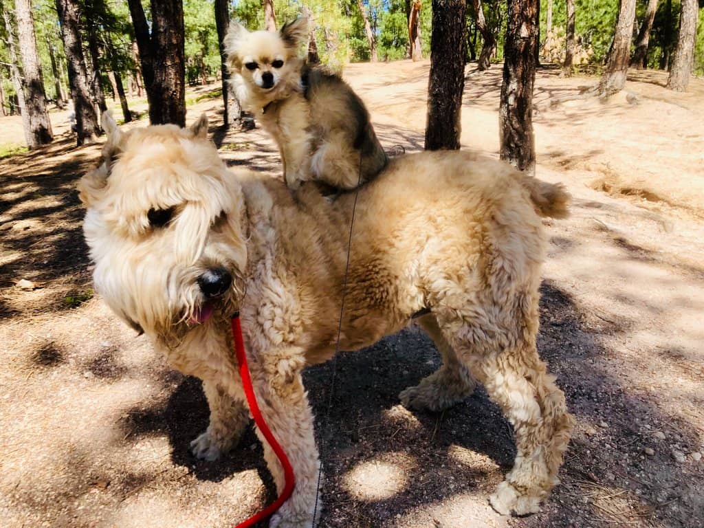 Playgrounds & Picnic Spots