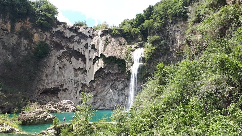 Scenic Forest Trek