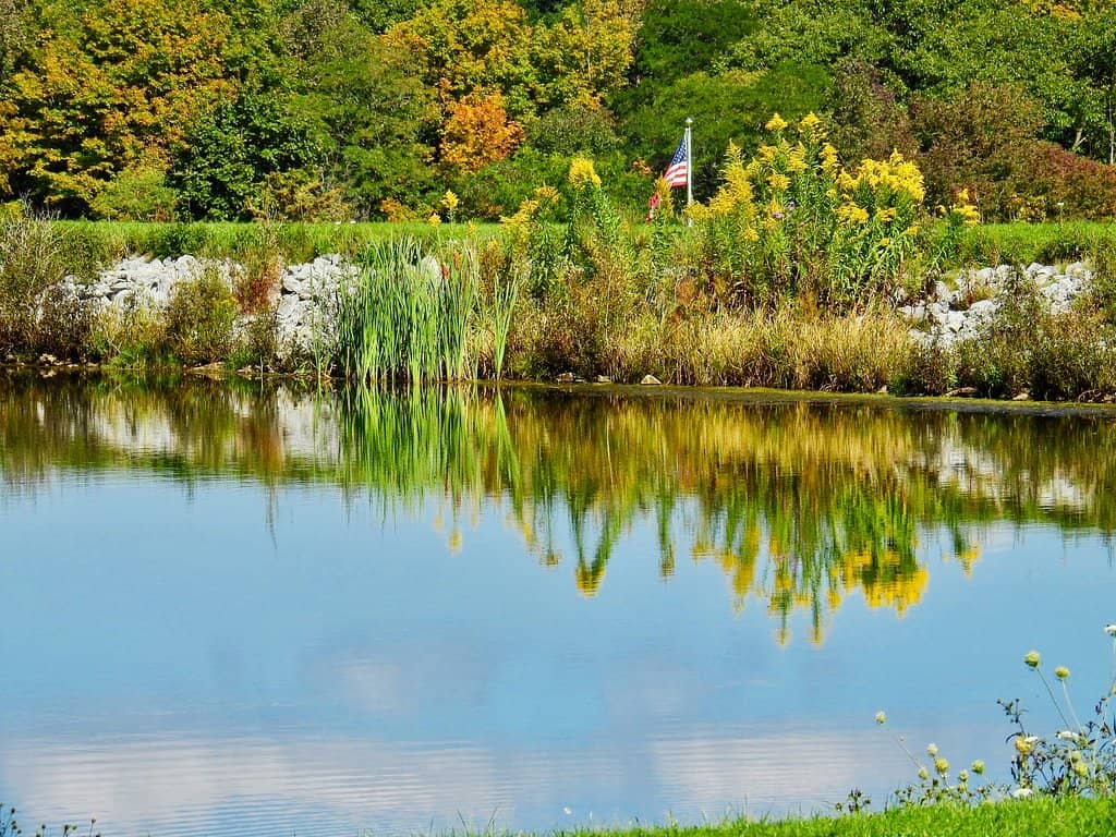 Gannett Hill Hiking Trails