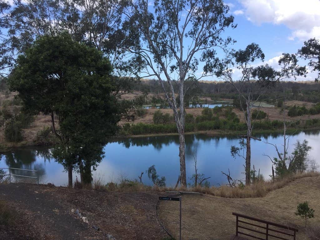 Peaceful Bush Walks